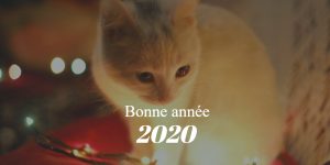 Bonne Annee 2020 Chat