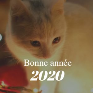 Bonne Annee 2020 Chat