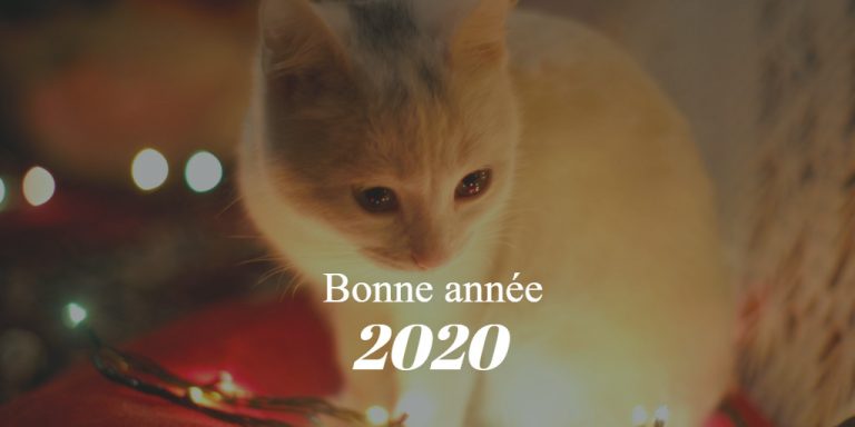 Bonne Annee 2020 Chat