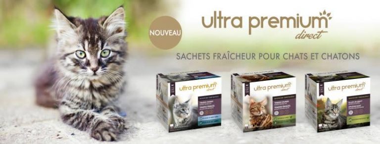 ultra premium direct banniere chat