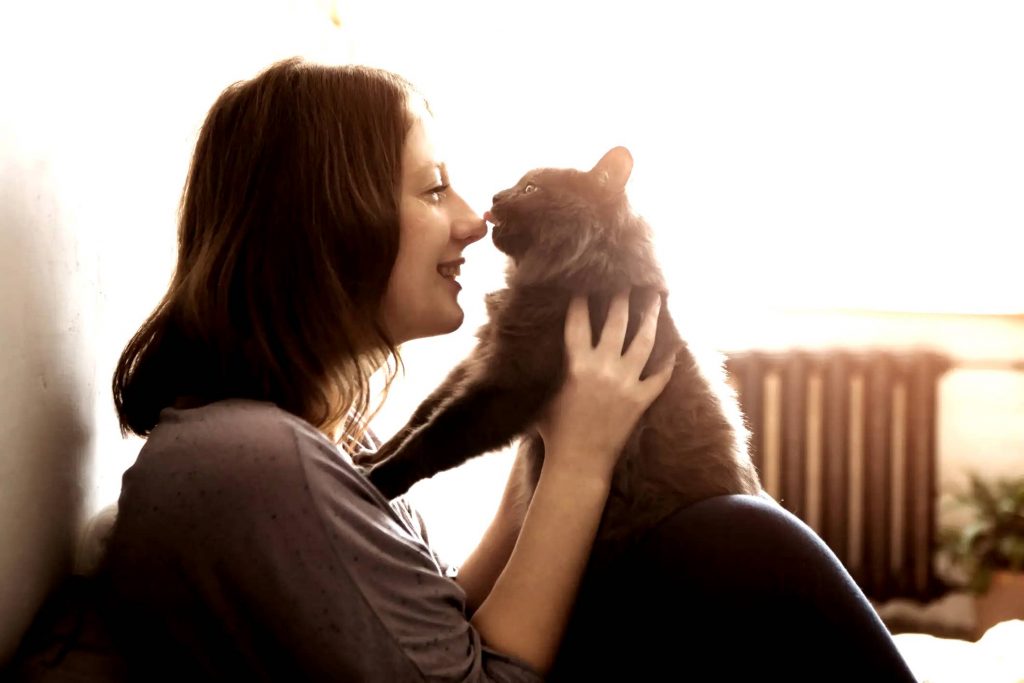 calin chat reconfort