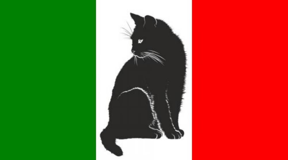 chat italien
