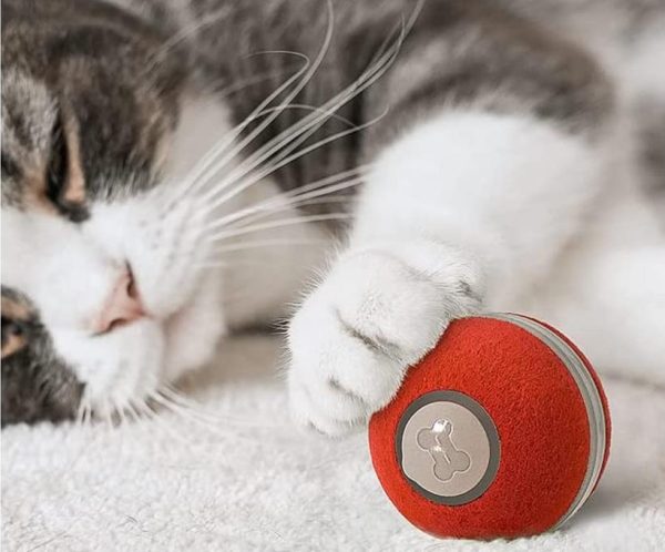 balle intelligente auto rotative rebondissante cheerble