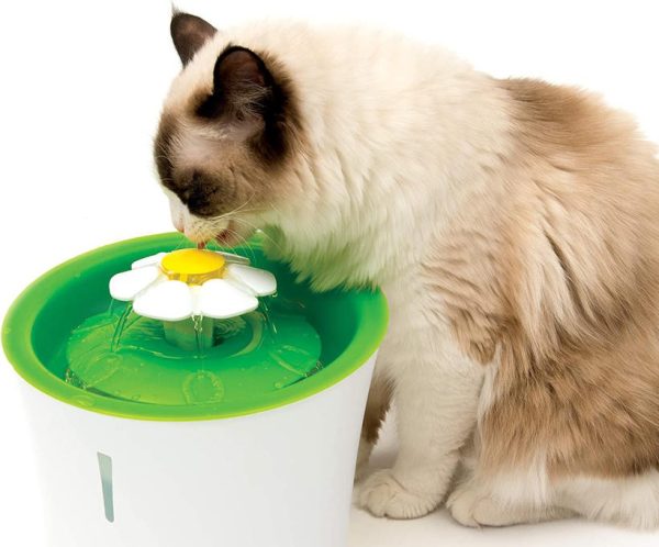 cat it fontaine à eau 3 litres