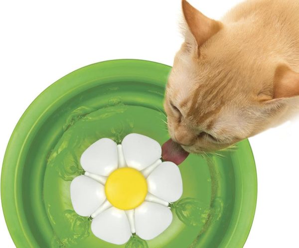 cat it fontaine à eau 3 litres