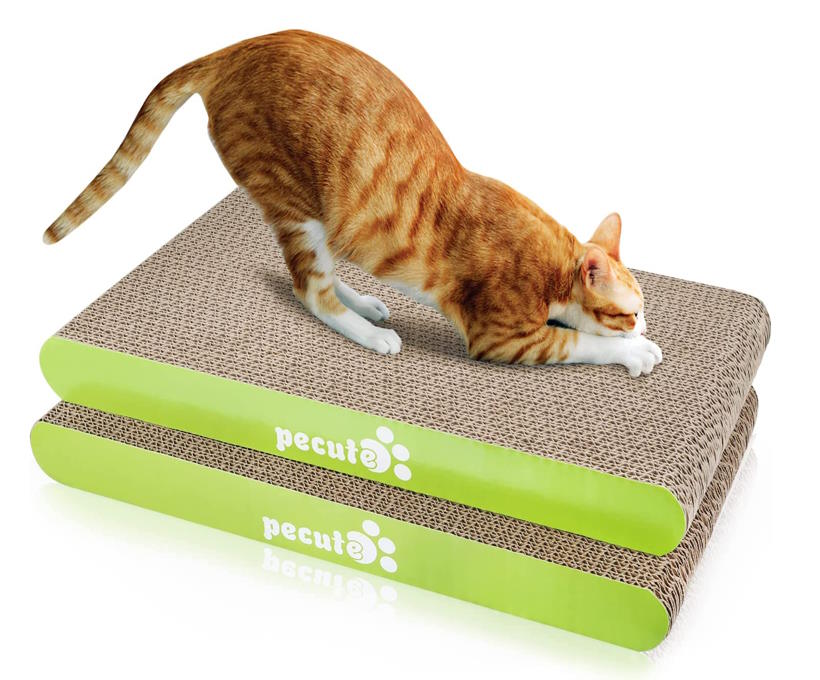 petcute griffoir chats résistant à l'usure