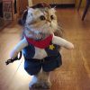 déguisement de cowboy pour chat