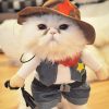 déguisement de cowboy pour chat
