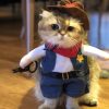 déguisement de cowboy pour chat