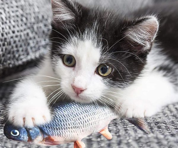 Jouet poisson frétillant moteur électronique pour chat