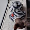 vêtement chaud pour chat égyptien, sphynx
