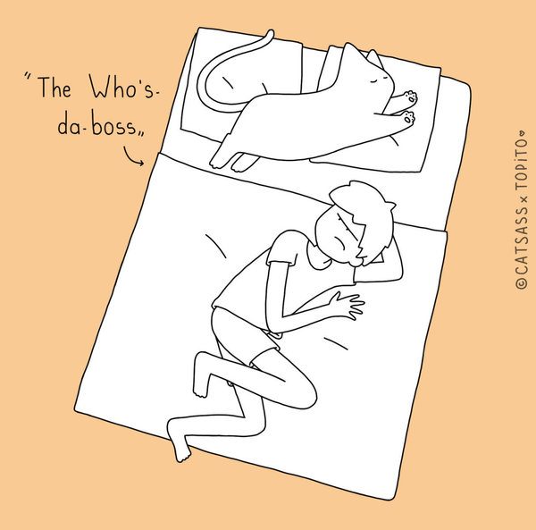 catsass boss