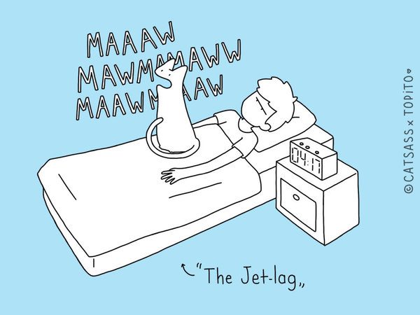 catsass jetlag