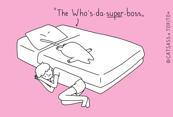 catsass super boss boss