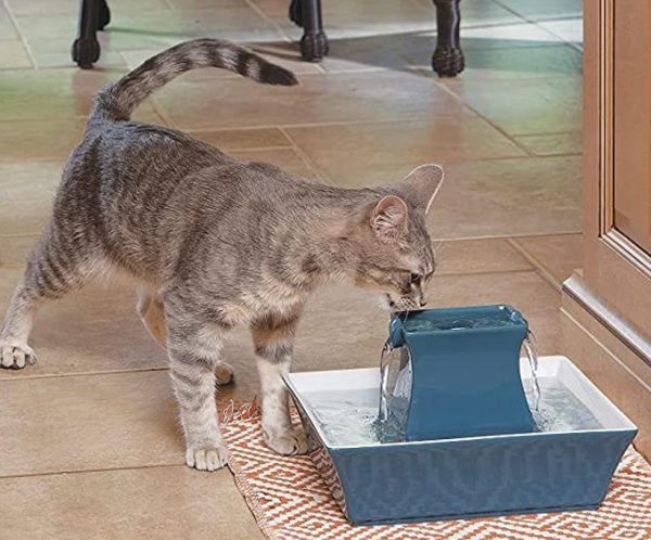 fontaine à eau pour chat en céramique (2 l) drinkwell pagoda