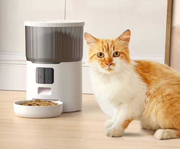 distributeur croquettes chat automatique wifi