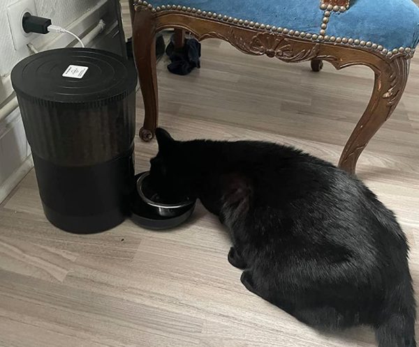 distributeur croquettes chat automatique wifi