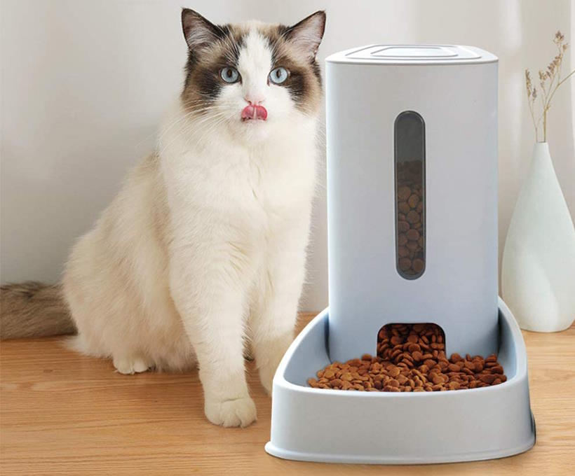duo distributeur de croquettes & fontaine à eau pour chat xiapia